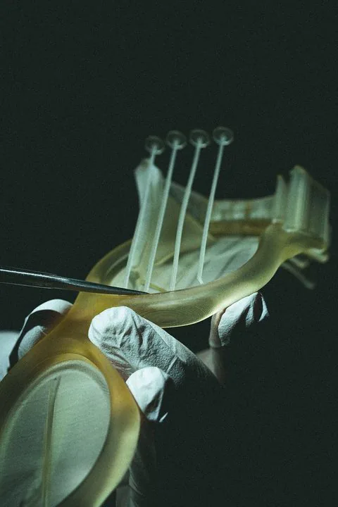 Paloceras frame held in gloved hands in the studio